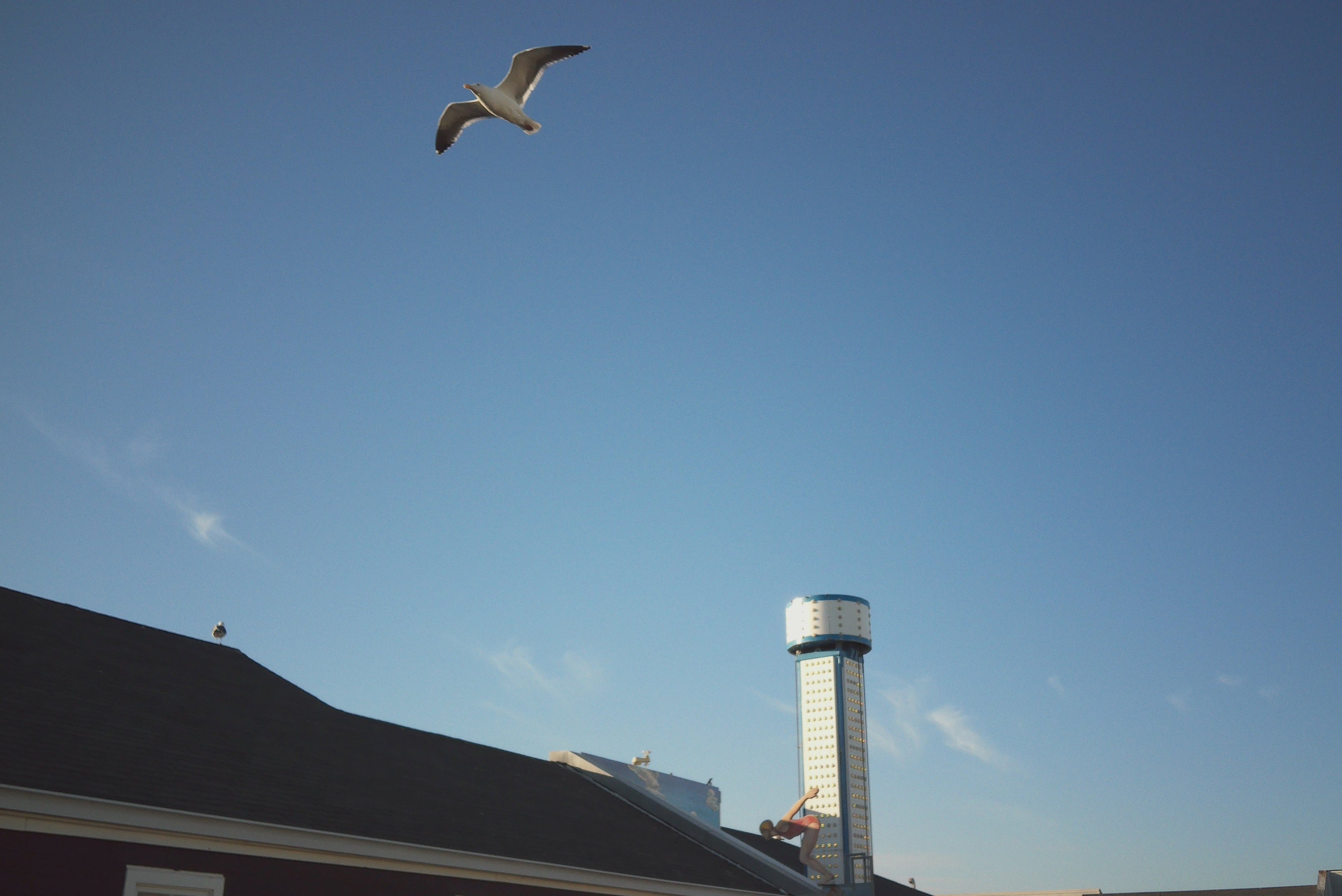 A DIY retro digital camera project - Blog #12 Shutter lag field test