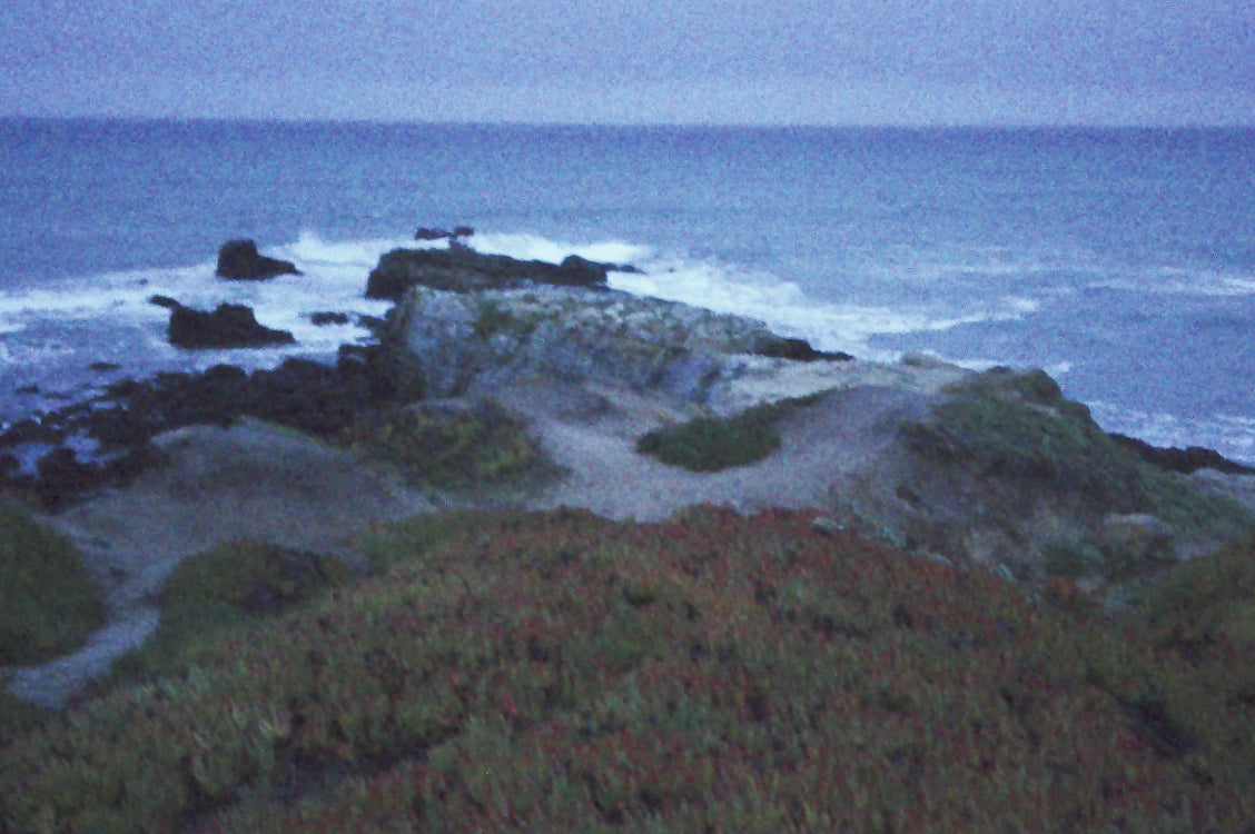 Rewindpix camera