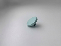 Rewindpix Rewindpix Shutter Button Matte Teal